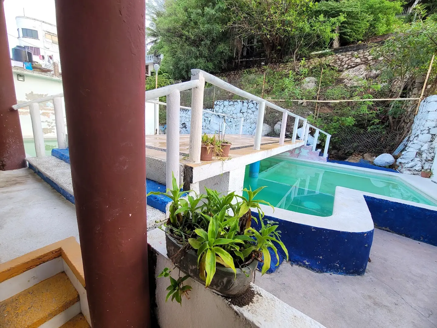 Terraza junto a la alberca, con plantas y zona de sombra